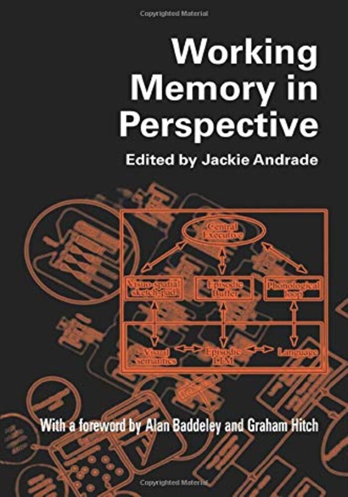 Working Memory in Perspective