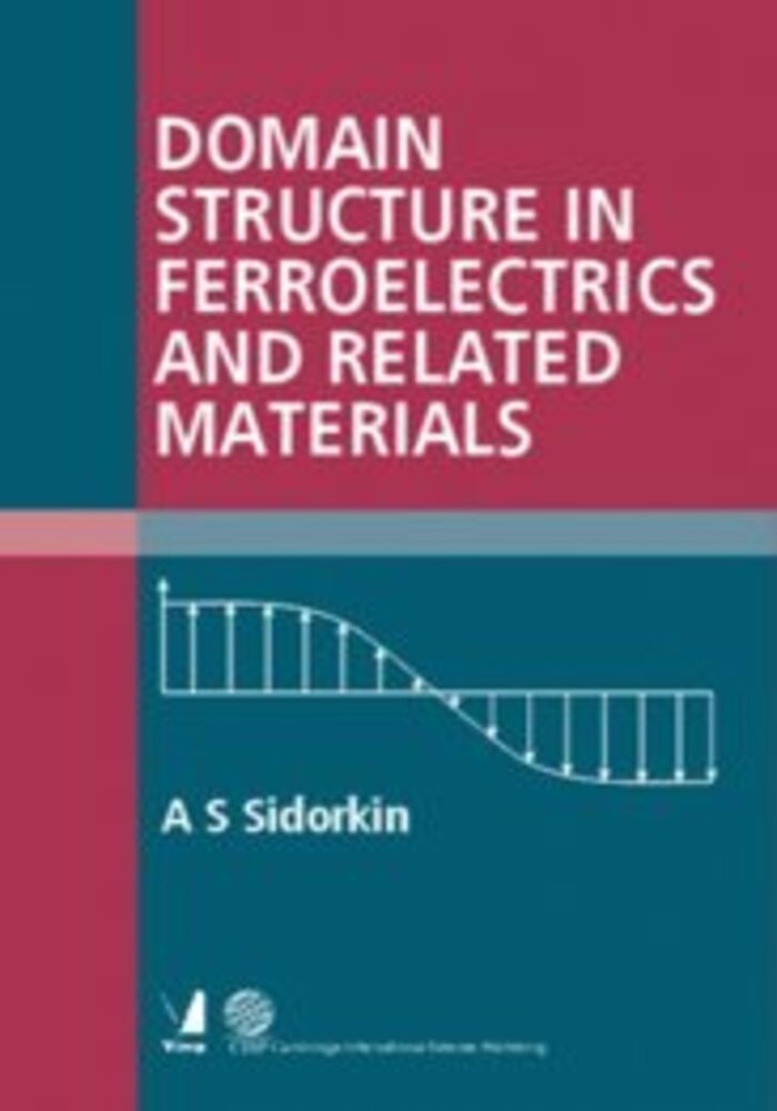 Domain Structure in Ferroelectrics and Related Materials