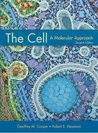 THE CELL a molecular approach